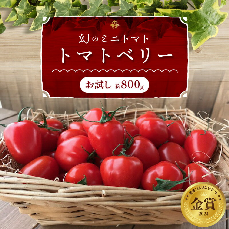 高評価☆4.72 ミニトマト 約800g お試し 幻 トマトベリー フルーツミニトマト 甘い いちご型 野菜ソムリエサミット 金賞 受賞 薄皮 食べやすい 完全木熟栽培 リコピン お取り寄せ グルメ 野菜 産地直送 長田農園 ランキング急上昇 送料無料