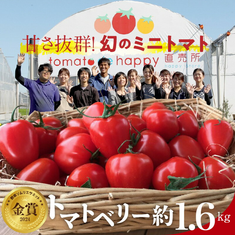 【2026年度予約分】フルーツミニトマト 約1.6kg トマトベリー 甘さ抜群 国産 甘い 濃厚 幻 いちご型 野菜ソムリエサミット 金賞 受賞 皮が薄い 長田農園 産地直送 リコピン 野菜 フルーツ サラダ 濃厚 甘い 美容 健康 ランキング急上昇 送料無料