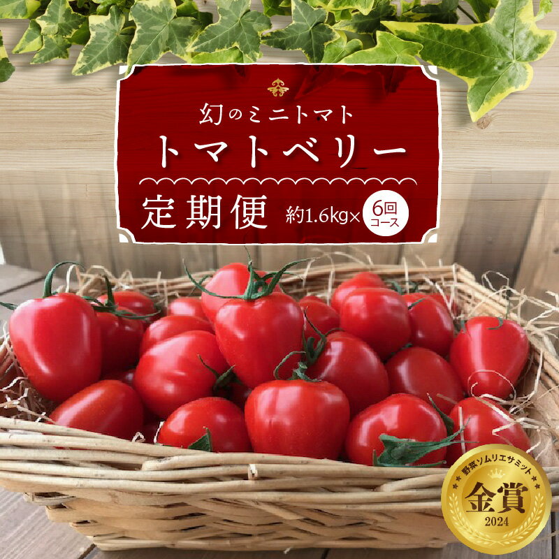 【ふるさと納税】1月〜6月 毎月発送 幻のミニトマト トマトベリーの定期便 6回コース ミニトマト 定期便 トマト 野菜ソムリエサミット 金賞 受賞 長田農園 産地直送 愛知県 碧南市 送料無料