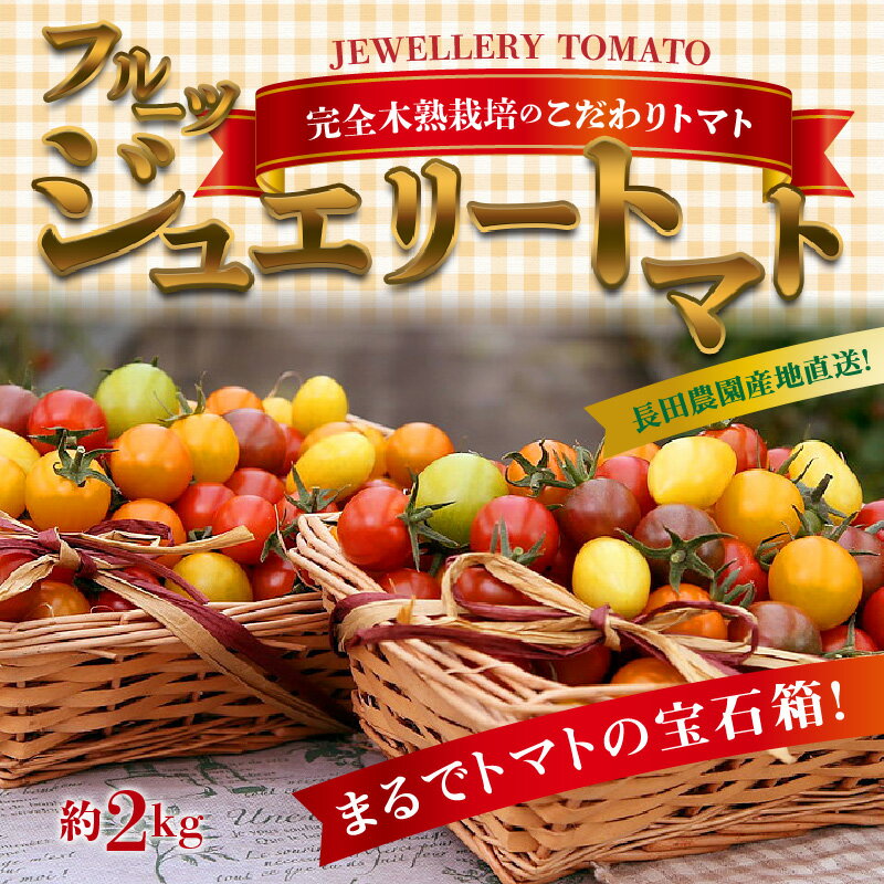【ふるさと納税】フルーティーな味わいが魅力 フルーツジュエリートマト 2kg ミニトマト トマト 4月〜6月発送 長田農園 甘い 健康 濃厚 完熟 完全木熟栽培 リコピン 色とりどり ジュエリートマト お取り寄せ 愛知県 碧南市 送料無料 サムネイル2