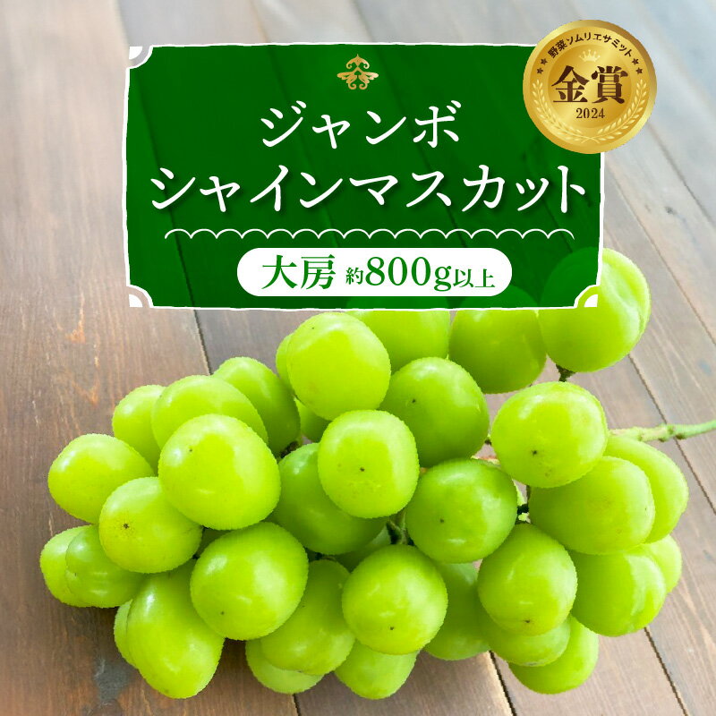 シャインマスカット 大房 800g以上 1房 食べ応え十分 ジャンボサイズ 冷蔵 【個数限定】 長田農園 送料無料