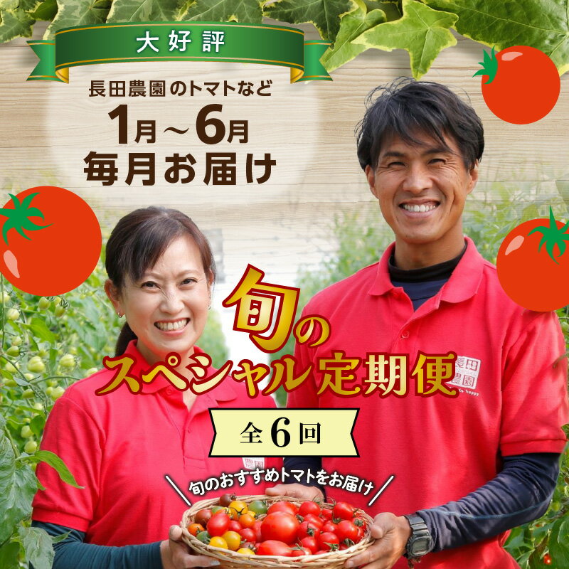 【ふるさと納税】旬 トマト ミニトマト その他野菜等 定期便 6回 1月〜6月毎月発送 金賞受賞 大好評 長田農園 ジュエリートマト トマトベリー さくらんぼトマト フルーツトマト ミニトマト トマトジュース にんじん 新たまねぎ セット 野菜 新鮮 産地直送 碧南市 送料無料 サムネイル3
