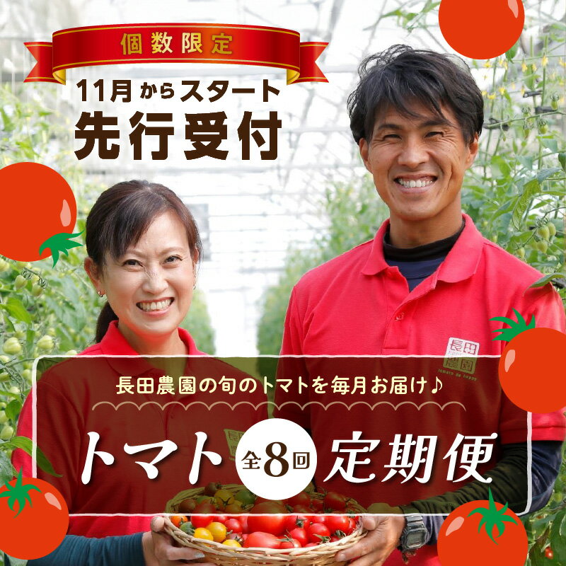 【ふるさと納税】先行受付 トマト その他野菜等 定期便 全8回 溢れる 果汁 さくらんぼトマト 果肉 食感 いちごトマト 色 形 さまざま ジュエリートマト 濃厚 甘み 酸味 バランス 絶妙 フルーツトマト 碧南にんじん トマトジュース 新たまねぎ 野菜 愛知県 碧南市 送料無料 サムネイル3