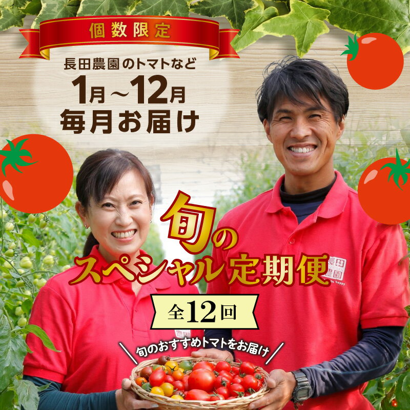【ふるさと納税】旬 定期便 12回 トマト その他野菜等 詰め合わせ 毎月発送 トマト ミニトマト にんじん トマトジュース 新たまねぎ とうもろこし シャインマスカット 長田農園 野菜ソムリエサミット 金賞 国産 野菜 ランキング急上昇 高評価 愛知県 碧南市 送料無料 サムネイル2