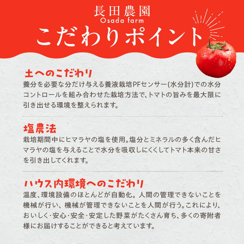 【ふるさと納税】【2026年度予約分】高評価☆4.69 フルーツジュエリートマト 1.6kg ミニトマト まるでトマトの宝石箱 甘い 濃厚な味わい フルーツのような甘み 新鮮 こだわり 野菜 食品 サラダ リコピン ご褒美 プレゼント 長田農園 碧南市 送料無料 サムネイル3