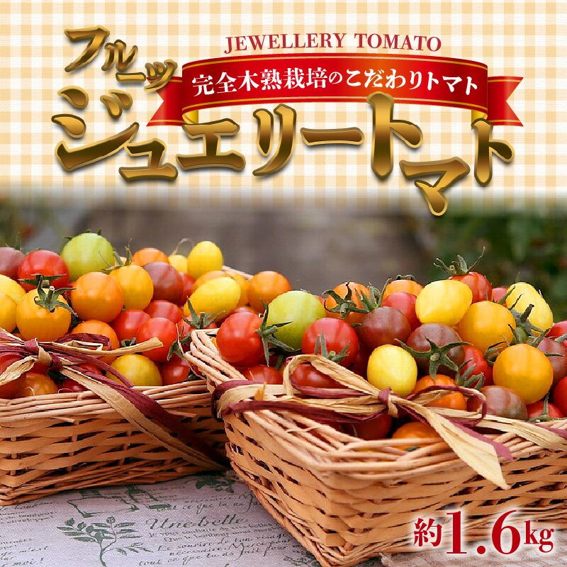 【2026年度予約分】高評価☆4.69 フルーツジュエリートマト 1.6kg ミニトマト まるでトマトの宝石箱 甘い 濃厚な味わい フルーツのような甘み 新鮮 こだわり 野菜 食品 サラダ リコピン ご褒美 プレゼント 長田農園 碧南市 送料無料