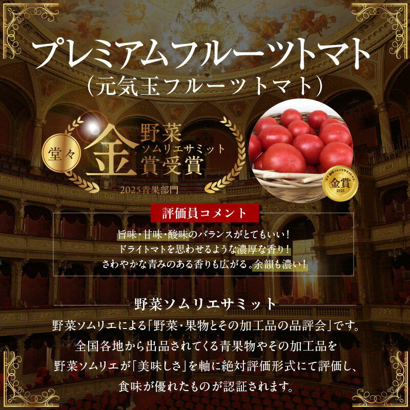 【ふるさと納税】【2026年度予約分】期間限定 プレミアム フルーツトマト 選べる 容量 約 700g ～ 1.4kg 産地直送 トマト 野菜 サラダ 濃厚 甘み 酸味 バランス 絶妙 ご褒美 プレゼント用 リピート多数 人気 高評価 先行受付 数量限定 お取り寄せ 愛知県 碧南市 送料無料 - 画像3