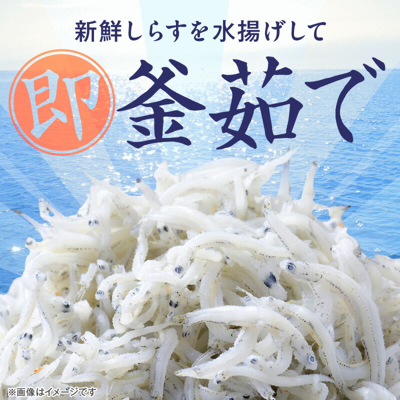 【ふるさと納税】訳あり しらす干し 選べる容量 1～2kg 三河しらす 国産 新鮮 しらす 釜茹で 塩分控えめ まろやか うま味濃縮 やみつき ごはんのお供 おつまみ しらす丼 パスタ サラダ 魚 海産物 冷凍 お取り寄せ グルメ 食品 愛知県 碧南市 送料無料 - 画像2