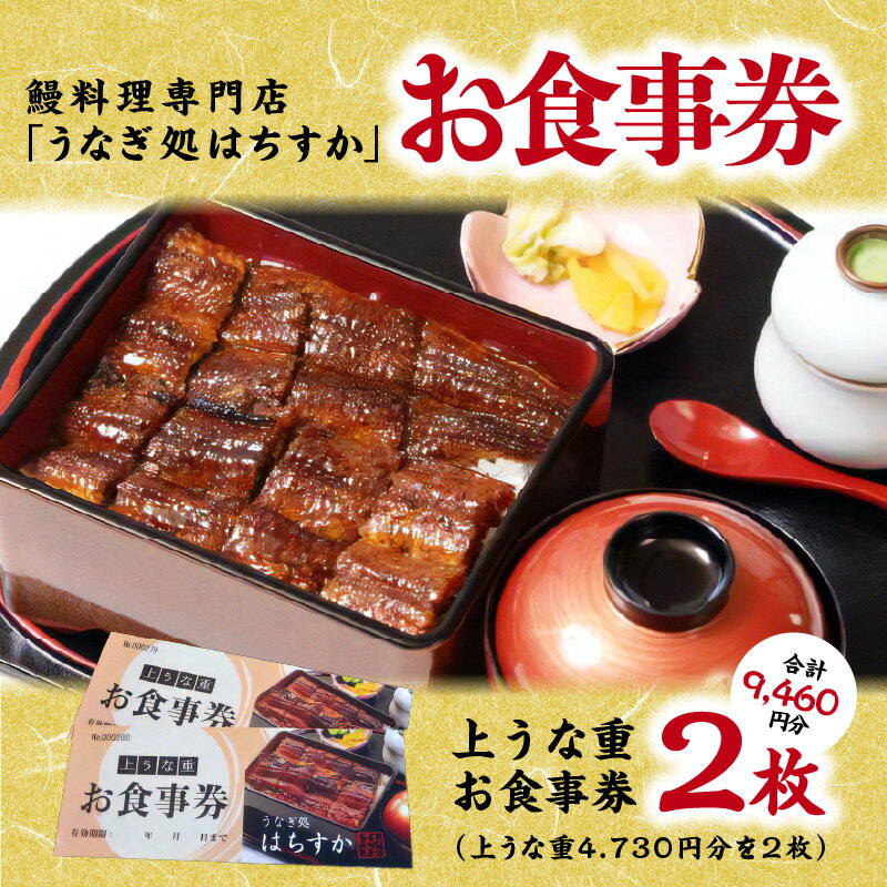 【ふるさと納税】お食事券 2枚 鰻料理専門店 うなぎ処はちすか 鰻 食事券 碧南市 国産 日本料理 うなぎ 蒲焼 白焼き 肝 出汁 うな丼 うな重 上うな重 ひつまぶし 食事 券 チケット うなぎ屋 - 画像2