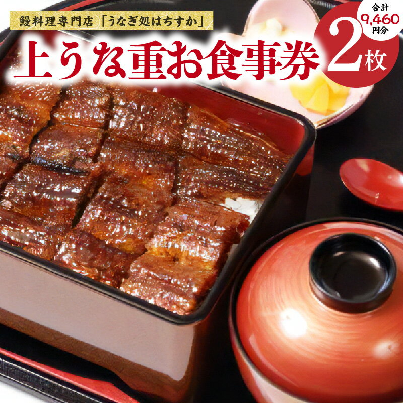 お食事券 2枚 鰻料理専門店 うなぎ処はちすか 鰻 食事券 碧南市 国産 日本料理 うなぎ 蒲焼 白焼き 肝 出汁 うな丼 うな重 上うな重 ひつまぶし 食事 券 チケット うなぎ屋