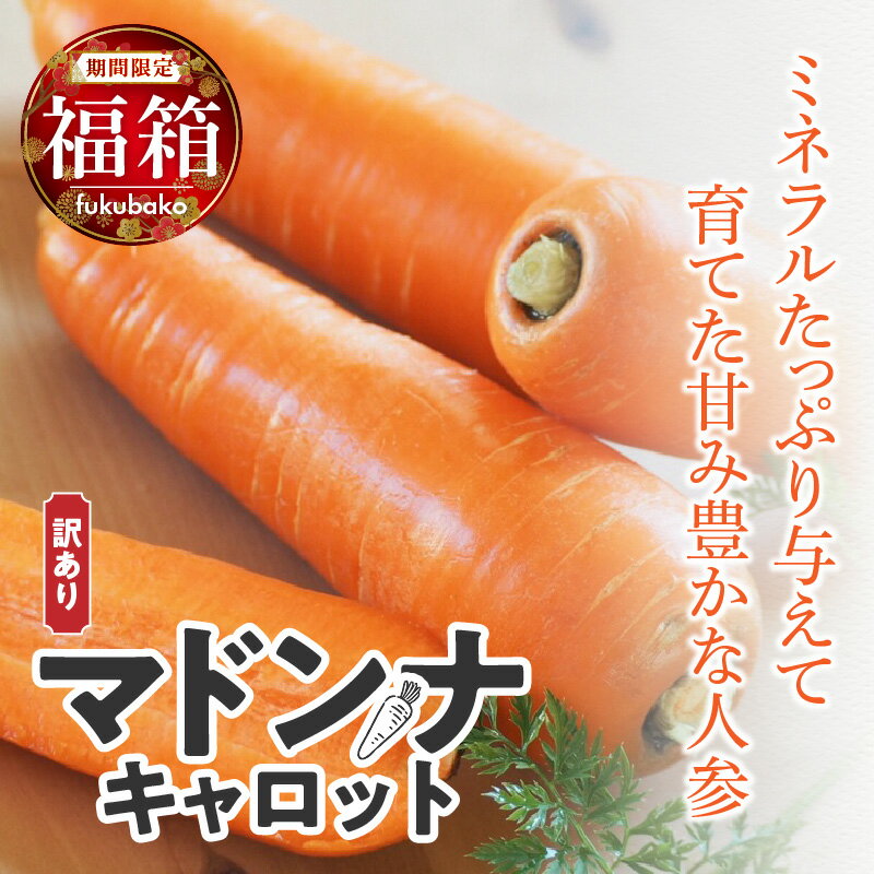 【ふるさと納税】＜フジテレビ『どっちのふるさと？』で紹介されました！＞ 福箱★2026 訳あり 野菜 にんじん マドンナキャロット 8.5kg 大小サイズ混合 国産 不揃い こどもも食べられる 甘み 料理 キャロット ジュース 野菜ジュース 福袋 愛知県 碧南市 お取り寄せ 送料無料 サムネイル2