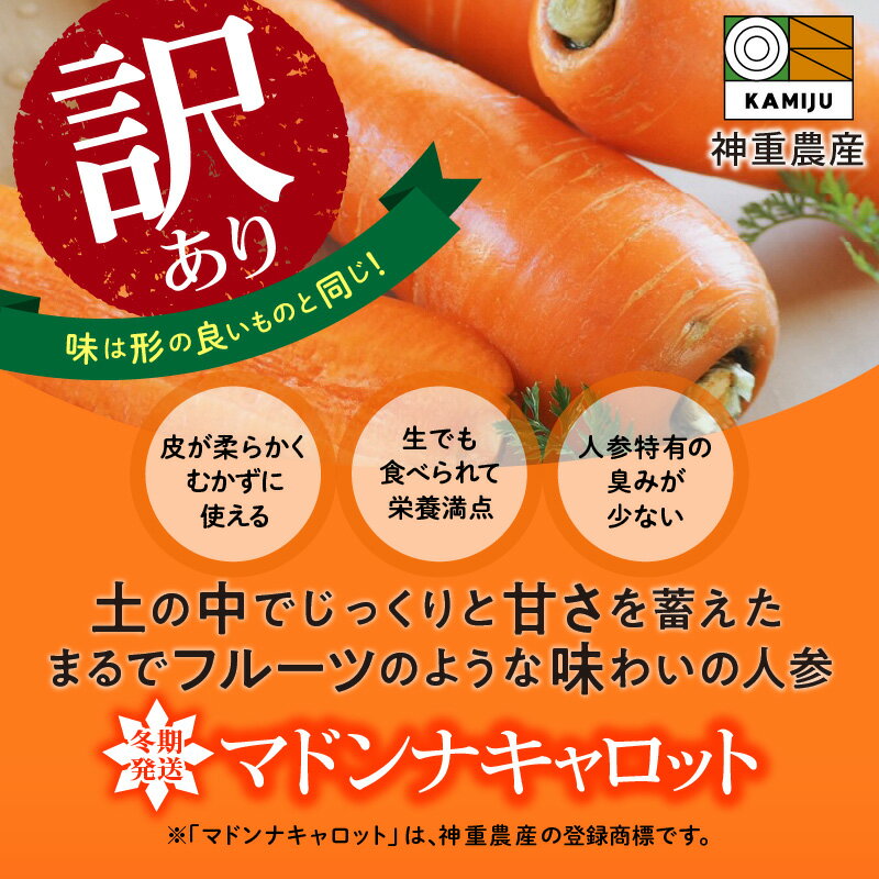 【ふるさと納税】＜フジテレビ『どっちのふるさと？』で紹介されました！＞ 高評価☆4.83 訳あり 冬期限定 にんじん マドンナキャロット 選べる 容量 2kg ～ 7kg 先行予約 国産 甘い フルーツのような味わい お子様にもおすすめ 栄養 神重農産 野菜 愛知県 碧南市 送料無料 サムネイル2