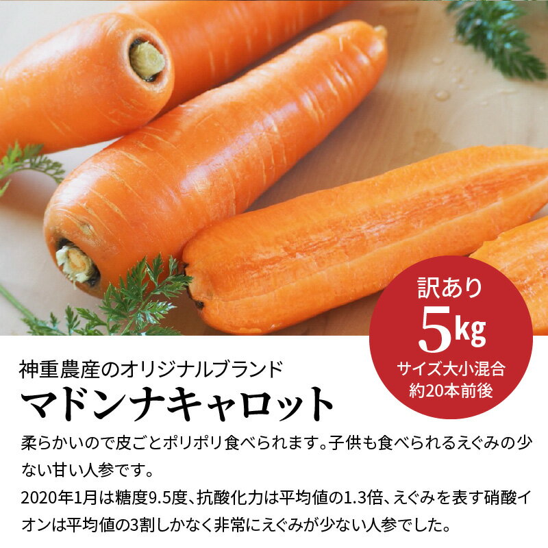 【ふるさと納税】＜フジテレビ『どっちのふるさと？』で紹介されました！＞訳あり定期便 2回 選べる 配送月 マドンナキャロット にんじん 5kg お届け キャロット 野菜 国産 不揃い 健康 食品ロス 削減 こどもも食べられる 甘み 愛知県 碧南市 お取り寄せ 産地直送 送料無料 サムネイル3