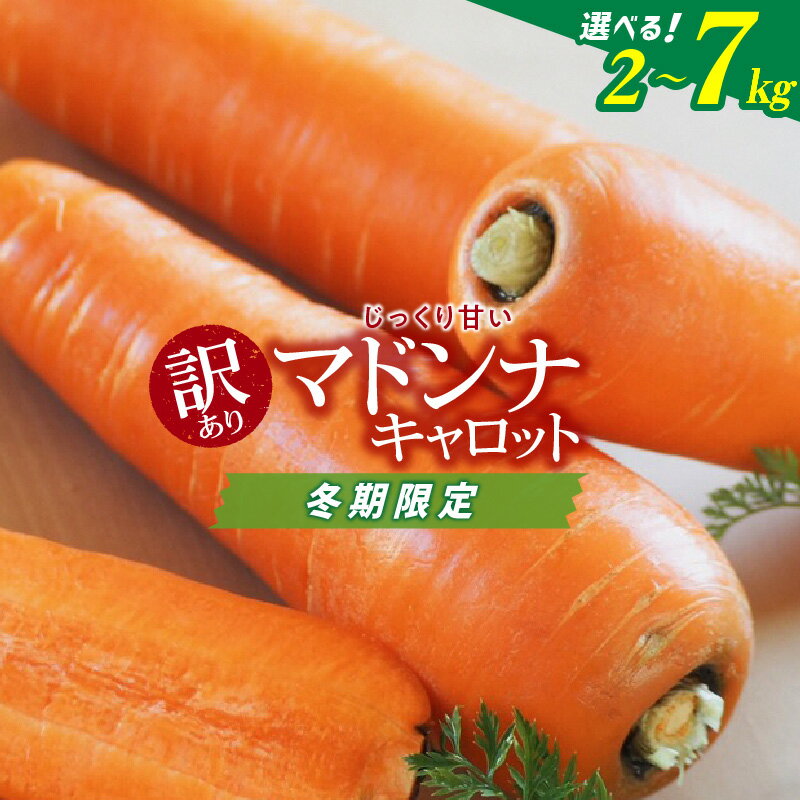 ＜フジテレビ『どっちのふるさと？』で紹介されました！＞ 高評価☆4.83 訳あり 冬期限定 にんじん マドンナキャロット 2kg 3kg 5kg 7kg 先行予約 国産 甘い フルーツのような味わい 臭みが少ない お子様にもおすすめ 神重農産 野菜 愛知県 碧南市 送料無料