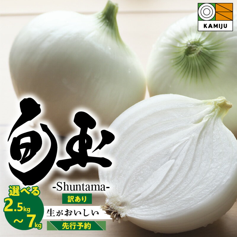 高評価☆4.72 訳あり 新玉ねぎ 旬玉 選べる 容量 2.5kg 〜 7kg 2026年発送 先行予約 とにかく甘い 人気 季節ごとの旬玉 玉ねぎ 甘み豊か みずみずしい オニオン 生がおいしい ミネラル サラダ 玉ねぎステーキ スープ 農場 神重農産 愛知県 碧南市 送料無料