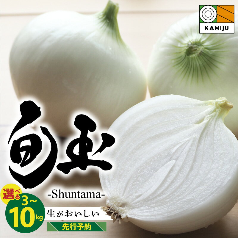 2026年発送 高評価☆5.00 新玉ねぎ 旬玉 選べる容量 3kg 5kg 10kg とにかく甘い サイズ 混合 農場 神重農産 ブランド玉ねぎ 生がおいしい フレッシュ みずみずしい ミネラル 玉ねぎ オニオン 野菜 スライス サラダ 玉ねぎステーキ 愛知県 碧南市 送料無料