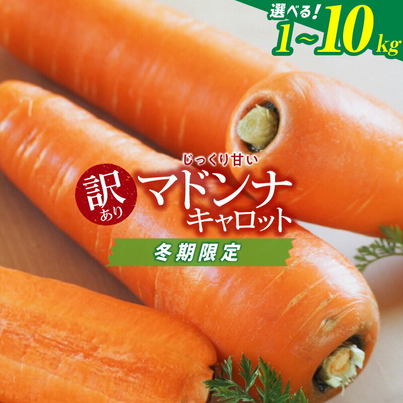 ＜フジテレビ『どっちのふるさと？』で紹介されました！＞ 高評価☆4.82 訳あり 冬期限定 にんじん マドンナキャロット 選べる 容量 1kg ～ 10kg 国産 甘い フルーツのような味わい お子様にもおすすめ 栄養 神重農産 野菜 愛知県 碧南市 送料無料