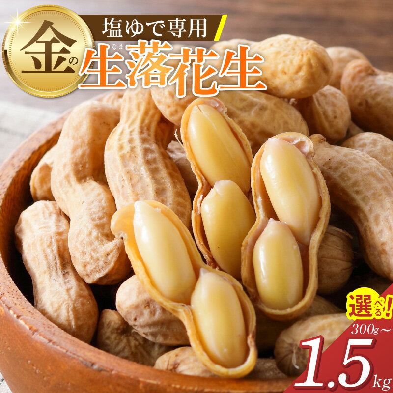 先行予約 生落花生 金の生落花生 選べる 容量 300g 1kg 1.5kg やみつき 極うま 生ピーナッツ 塩ゆで専用 国産 落花生 地豆 豆 さとのか 朝採り 鮮度 栄養 おつまみ サラダ かき揚げ 神重農産 食品 お取り寄せ 愛知県 碧南市 送料無料
