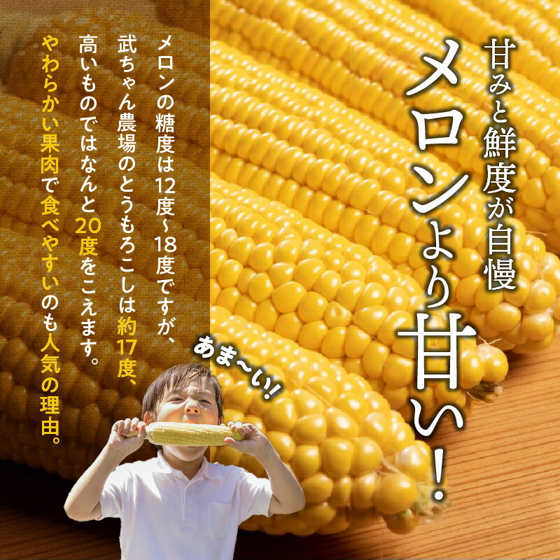 【ふるさと納税】メロンより甘い 甘くて濃厚 2026年発送 とうもろこし 7本 生とうもろこし コーン 糖度 17度以上 にっこりコーン 味来 サニーショコラ 武ちゃん農場 産地直送 朝獲れ 新鮮 愛知県 碧南市 送料無料 サムネイル3