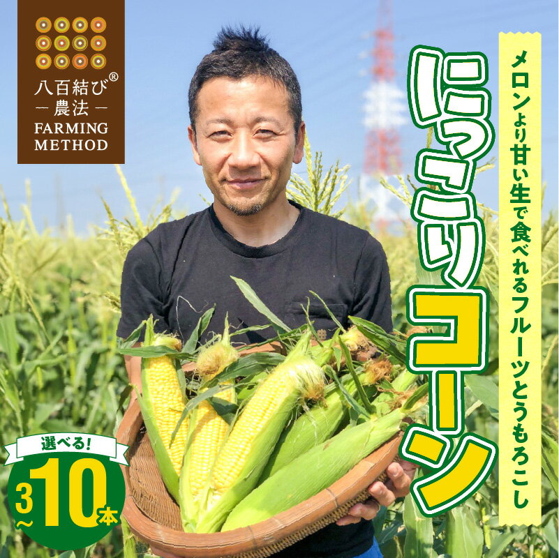 2026年発送 とうもろこし 選べる 本数 3 ～ 10本 メロンより甘い 生とうもろこし にっこりコーン 味来 サニーショコラ 武ちゃん農場 産地直送 朝獲れ 人気 新鮮 野菜 コーン お取り寄せ 愛知県 碧南市 送料無料
