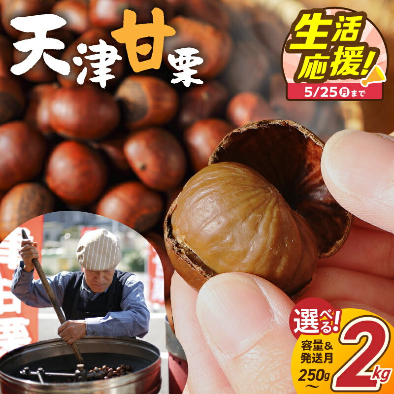 天津甘栗 生活応援 保存料不使用 選べる容量 250g 1kg 2kg 栗爪付き やさしい甘み 河北省 栗 甘栗 焼き栗 焼いた当日に発送 栗ご飯 おやつ スイーツ マロン 常温 衣浦食品 お取り寄せ 愛知県 碧南市 送料無料