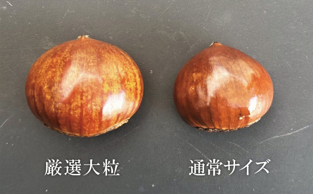 【ふるさと納税】【新栗】（予約受付） 天津甘栗 厳選大粒 通常サイズ 食べ比べ セット 選べる 容量 合計1kg 焼きたて 発送当日 焼き上げ 栗 栗爪 殻付き お菓子 おつまみ 人気 高リピート 小分け 栗ご飯 栗きんとん 甘露煮 愛知県 碧南市 送料無料 サムネイル2