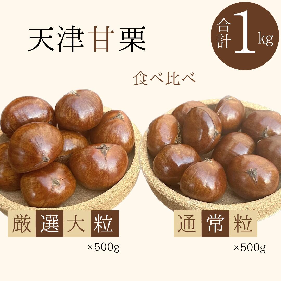 【新栗】（予約受付） 天津甘栗 厳選大粒 通常サイズ 食べ比べ セット 選べる 容量 合計1kg 焼きたて 発送当日 焼き上げ 栗 栗爪 殻付き お菓子 おつまみ 人気 高リピート 小分け 栗ご飯 栗きんとん 甘露煮 愛知県 碧南市 送料無料