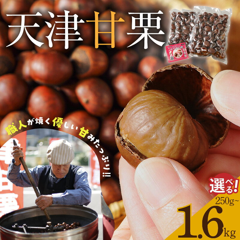天津甘栗 保存料不使用 選べる容量 250g 800g 1.6kg 栗爪付き やさしい甘み 河北省 栗 甘栗 焼き栗 焼いた当日に発送 栗ご飯 おやつ スイーツ マロン 常温 衣浦食品 お取り寄せ 愛知県 碧南市 送料無料
