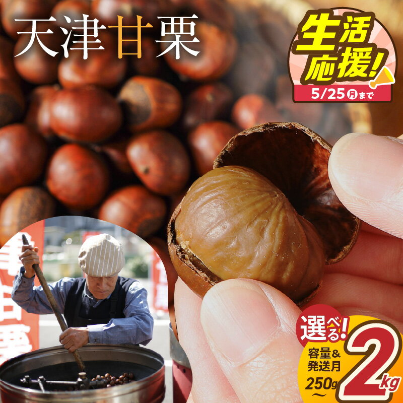天津甘栗 生活応援 保存料不使用 選べる容量 250g 1kg 2kg 栗爪付き やさしい甘み 河北省 栗 甘栗 焼き栗 焼いた当日に発送 栗ご飯 おやつ スイーツ マロン 常温 衣浦食品 お取り寄せ 愛知県 碧南市 送料無料