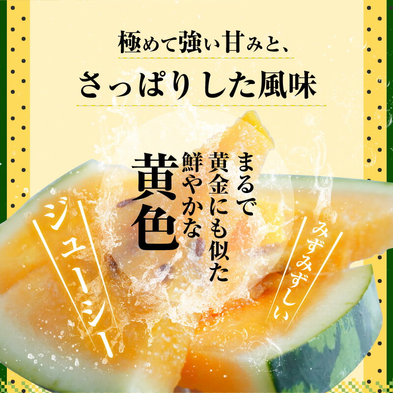 【ふるさと納税】2026年発送 大玉 スイカ 1玉 7kg 以上 金色羅皇 夏 甘い 濃い黄橙色 黄金 極めて強い甘み さっぱりした風味 硬め シャリシャリ みずみずしい 高球形 ジューシー フルーツ 果物 お取り寄せ お取り寄せフルーツ 送料無料 サムネイル3