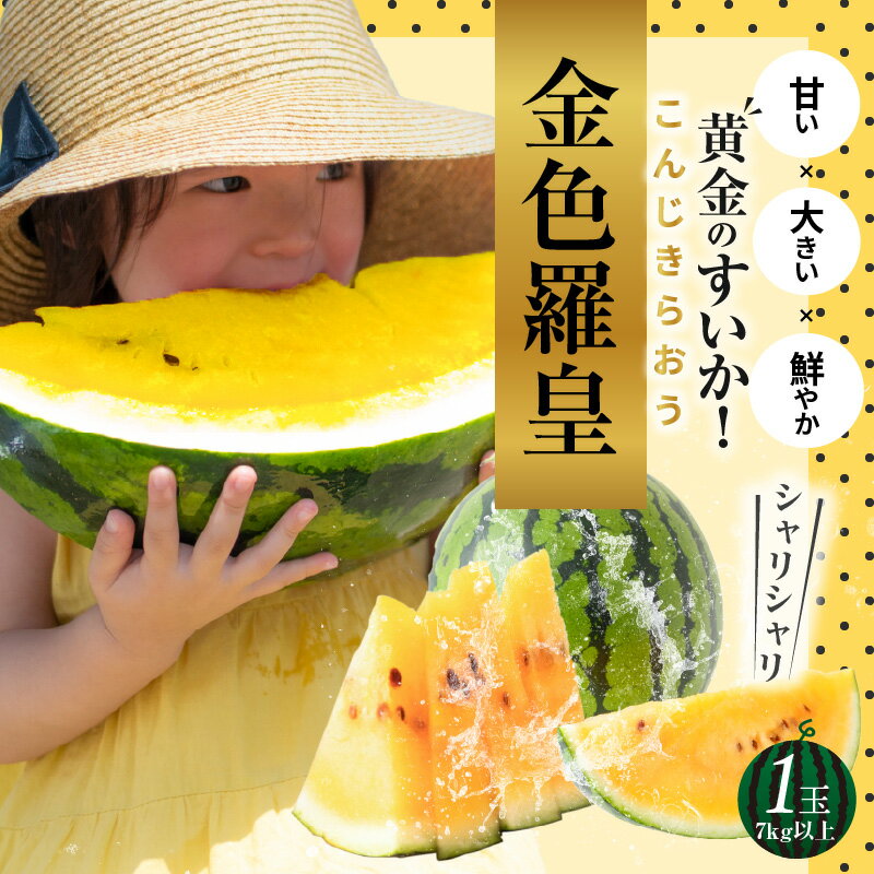 2026年発送 大玉 スイカ 1玉 7kg 以上 金色羅皇 夏 甘い 濃い黄橙色 黄金 極めて強い甘み さっぱりした風味 硬め シャリシャリ みずみずしい 高球形 ジューシー フルーツ 果物 お取り寄せ お取り寄せフルーツ 送料無料