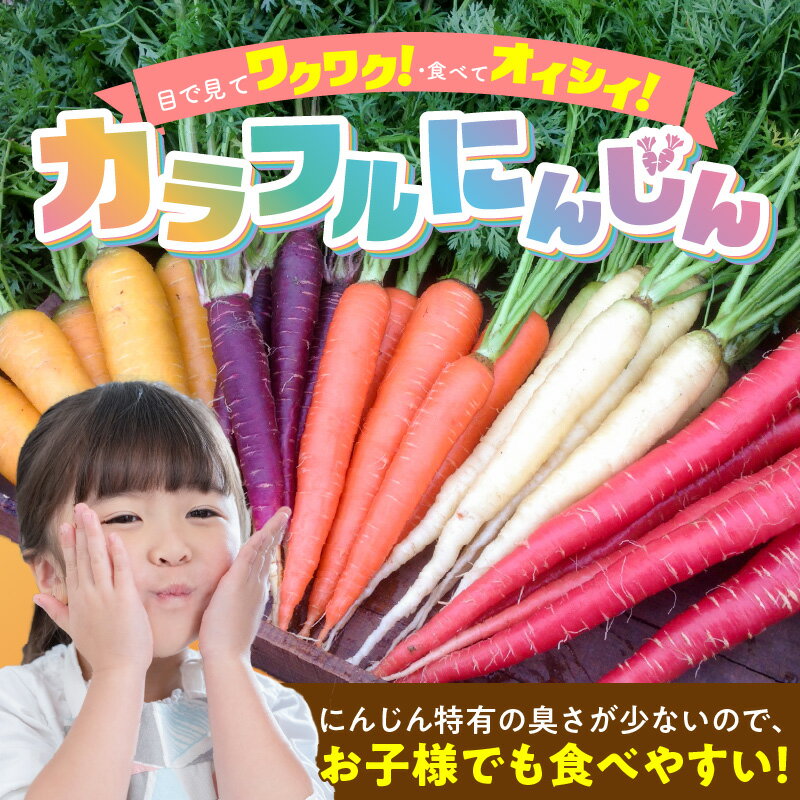 【ふるさと納税】期間限定 虹色 カラフルにんじん 選べる 容量 2kg 5kg 予約受付 人参 塩農法 野菜 農家直送 ジュース サラダスティック ギフト用 βカロテン ポリフェノール リコピン 農作物 鈴盛農園 お取り寄せ 愛知県 碧南市 送料無料 - 画像3