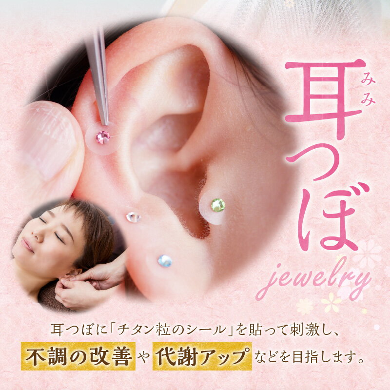 【ふるさと納税】耳つぼ体験 60分 利用券 1名様分 リラクゼーション 健康 美容 マッサージ 癒し プライベートサロン チケット 女性専用サロン 不調改善 代謝アップ カウンセリング 両耳 チタン粒 シール 送料無料 サムネイル2