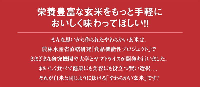 【ふるさと納税】忙しい毎日でも手軽に炊ける 玄米 やわらかい玄米 900g×4袋 米 お米 白米と同じように炊ける 令和6年産 安心安全 ヤマトライス 栄養豊富 簡単 健康 美容 弁当 おにぎり 食品 食べ物 愛知県 碧南市 送料無料 - 画像3