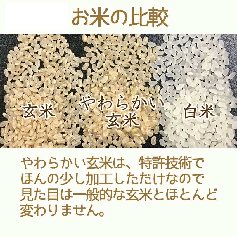 【ふるさと納税】やわらかい玄米 北海道産ゆめぴりか 900g×4袋　安心安全なヤマトライス お米 弁当 おにぎり 食品 食べ物 常温 お取り寄せ 送料無料 愛知県 碧南市 - 画像3