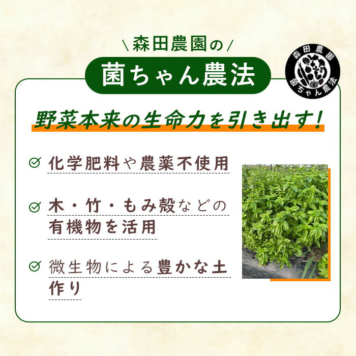 【ふるさと納税】 露地野菜 セット 【6～9品】 菌ちゃん農法 旬 化学肥料・農薬不使用 ／ 野菜セット 旬野菜セット 無農薬野菜 野菜詰め合わせ 農薬不使用野菜 露地野菜 国産野菜 産地直送 野菜宅配 季節野菜 料理好き 食材セット オーガニック野菜 健康野菜 新鮮野菜 No.540 - 画像3