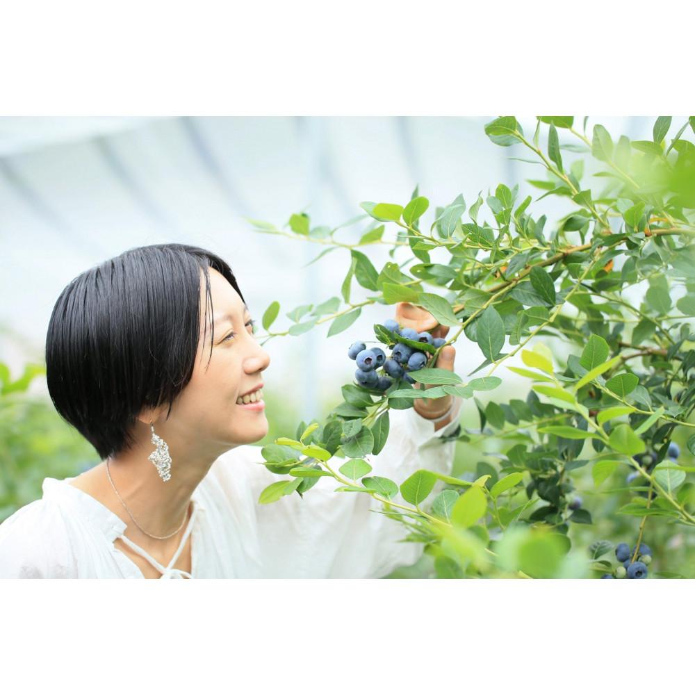 ブルーベリー冷凍果 500g×2パック | フルーツ 果物 くだもの 食品 人気 おすすめ 送料無料