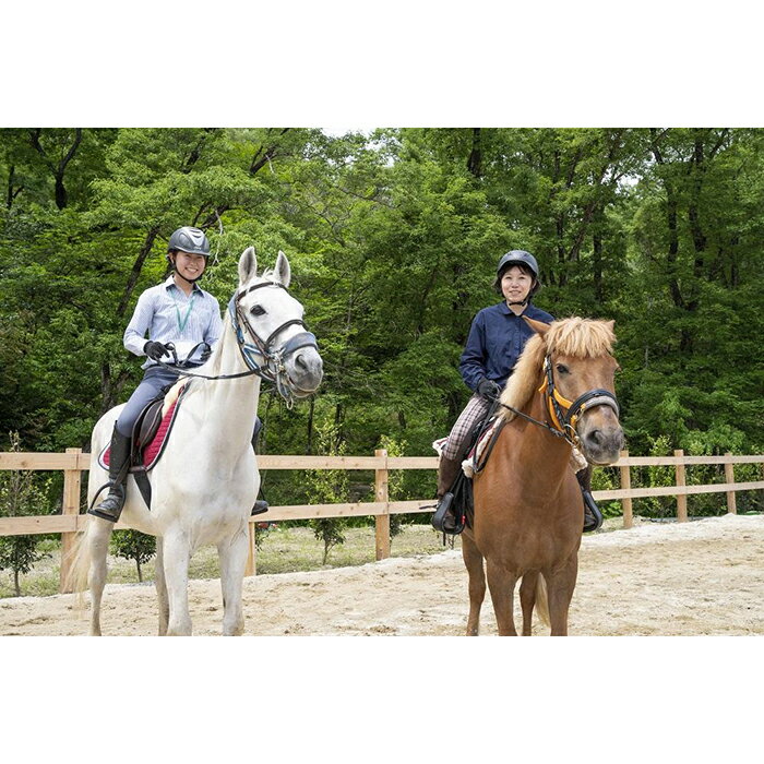 【ふるさと納税】乗馬レッスンチケット！初心者からできる 乗馬共通利用券 【乗馬共通チケット】 15枚 | 愛知県 愛知 豊田市 豊田 楽天ふるさと 納税 返礼品 支援品 チケット クーポン 乗馬 体験 子供 こども 子ども キッズ ジュニア 小学生 レッスン サービス 初心者 サムネイル2