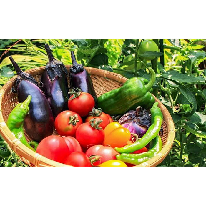 【ふるさと納税】佳子さんの熟成ぬか床+地元で採れた旬の野菜セット - 画像2