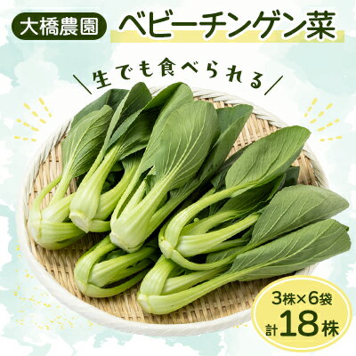大橋農園のベビーチンゲン菜:3株入り×6袋【配送不可地域：離島】【1364665】