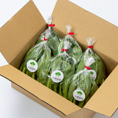【ふるさと納税】大橋農園のベビーチンゲン菜:3株入り×6袋【配送不可地域：離島】【1364665】 - 画像2