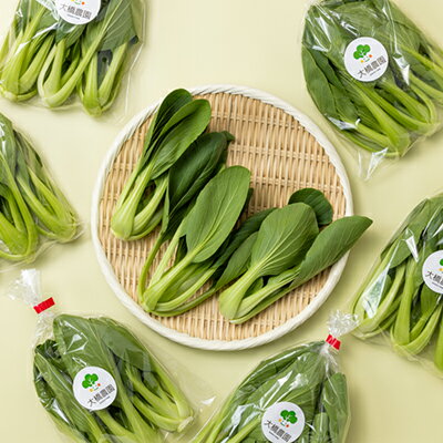 【ふるさと納税】大橋農園のベビーチンゲン菜:3株入り×6袋【配送不可地域：離島】【1364665】 - 画像3