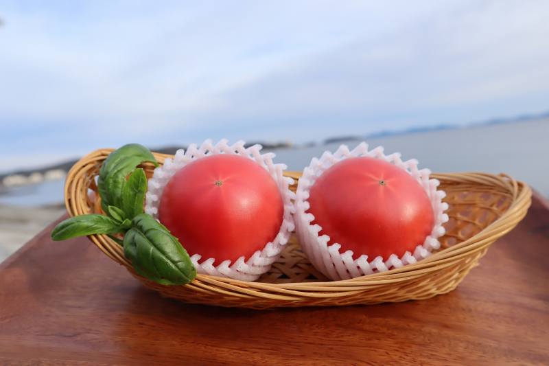 【ふるさと納税】M005-13.フルーツトマト『みらい』/減農薬 とまと 野菜 国産 食品 愛知県産 愛知県西尾産 期間限定 冷蔵便【発送期間：2026年1月10日〜6月15日】 - 画像2