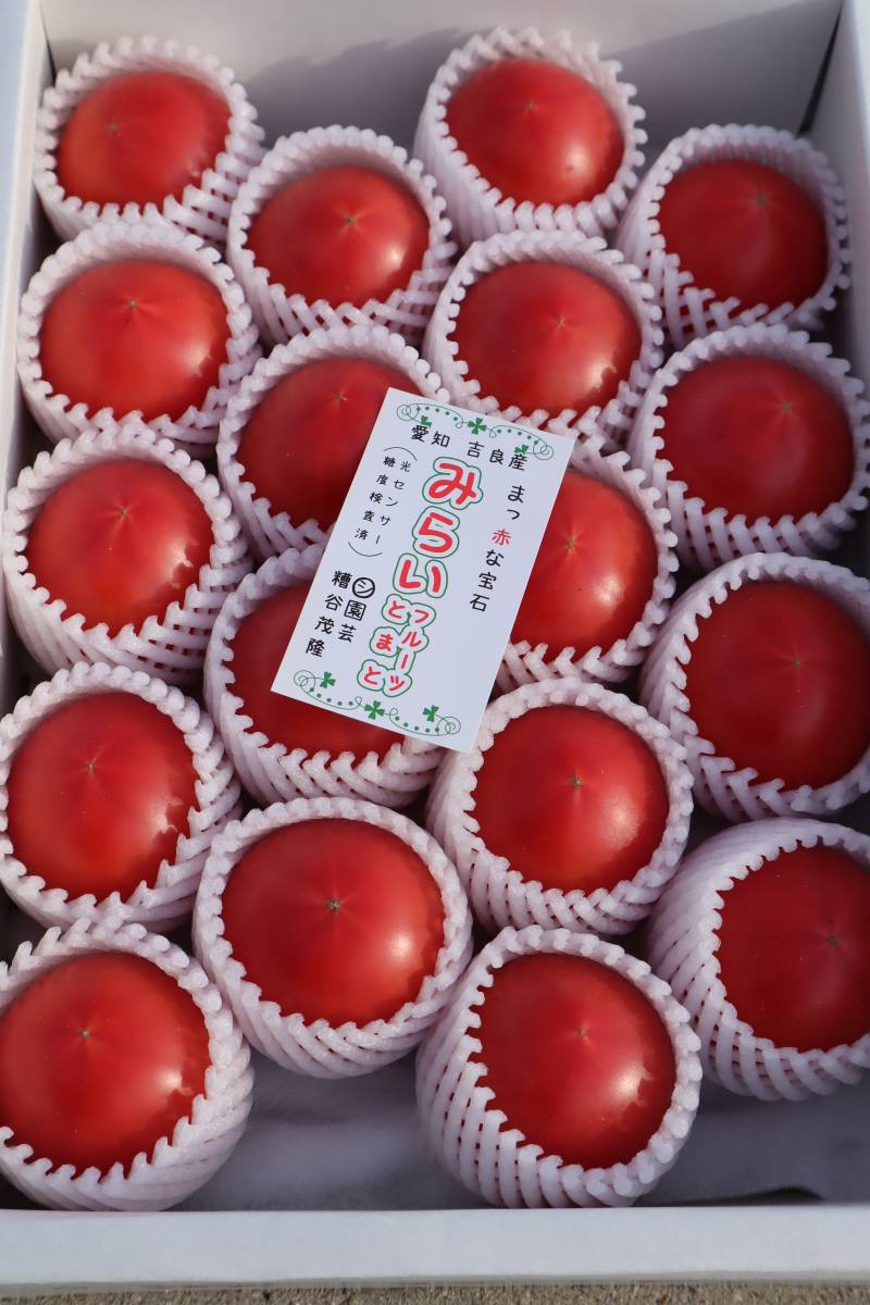 【ふるさと納税】M005-13.フルーツトマト『みらい』/減農薬 とまと 野菜 国産 食品 愛知県産 愛知県西尾産 期間限定 冷蔵便【発送期間：2026年1月10日〜6月15日】 - 画像3