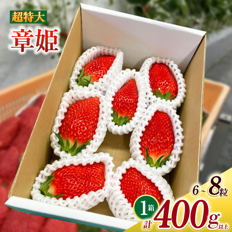 超特大いちご 章姫 6〜8粒入り 合計約400g O039-16【発送期間：2025年12月1日～2026年3月31日までに発送予定】クール便 果物 フルーツ 愛知県産 西尾産 国産 イチゴ いちご 苺 ギフト 食品 MB
