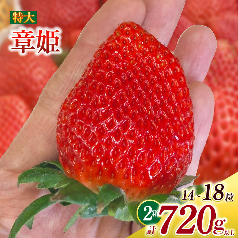特大いちご (章姫) 360g以上 (7〜9粒) ×2箱 O044-21【発送期間：2025年12月1日～2026年3月31日までに発送予定】【冷蔵便】/ 果物 フルーツ 愛知県産 西尾産 国産 イチゴ いちご 苺 食品 章姫いちご 大きい 大粒 特大 2箱 あきひめ MB