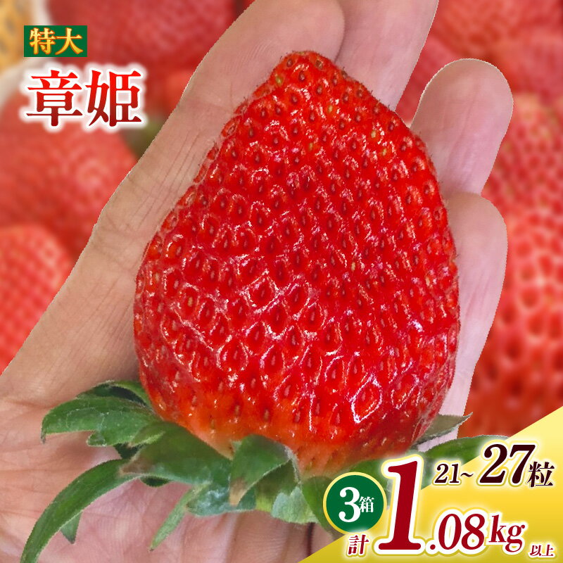 特大いちご (章姫) 360g以上 (7〜9粒) ×3箱 O045-29【発送期間：2025年12月1日～2026年3月31日までに発送予定】【冷蔵便】/ 果物 フルーツ 愛知県産 西尾産 国産 イチゴ いちご 苺 食品 章姫いちご 大きい 大粒 特大 3箱 あきひめ MB