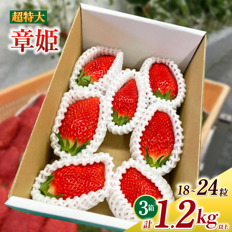 超特大いちご (章姫) 400g以上 (6〜8粒) ×3箱 O047-38【発送期間：2025年12月1日～2026年3月31日までに発送予定】【冷蔵便】/ 果物 フルーツ 愛知県産 西尾産 国産 イチゴ いちご 苺 食品 章姫いちご 大きい 大粒 超特大 大玉 3箱 あきひめ MB