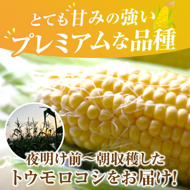 【ふるさと納税】《容量が選べる》朝採れ！プレミアム味来 〜金色の実り〜 ・S064-SKU 味来 トウモロコシ コーン スイートコーン 朝採れ 産地直送 国産 愛知県産 野菜 夏野菜 ベジタリアン 農産物 農作物 甘い 贈答 贈り物 プレゼント 愛知県 西尾市 送料無料 - 画像2