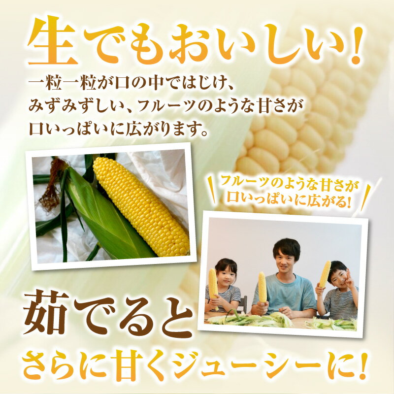 【ふるさと納税】《容量が選べる》朝採れ！プレミアム味来 〜金色の実り〜 ・S064-SKU 味来 トウモロコシ コーン スイートコーン 朝採れ 産地直送 国産 愛知県産 野菜 夏野菜 ベジタリアン 農産物 農作物 甘い 贈答 贈り物 プレゼント 愛知県 西尾市 送料無料 - 画像3